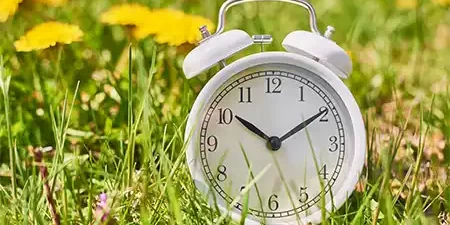 White vintage alarm clock in grass with dandelion flowers