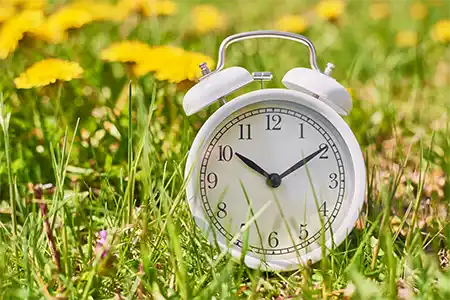 White vintage alarm clock in grass with dandelion flowers